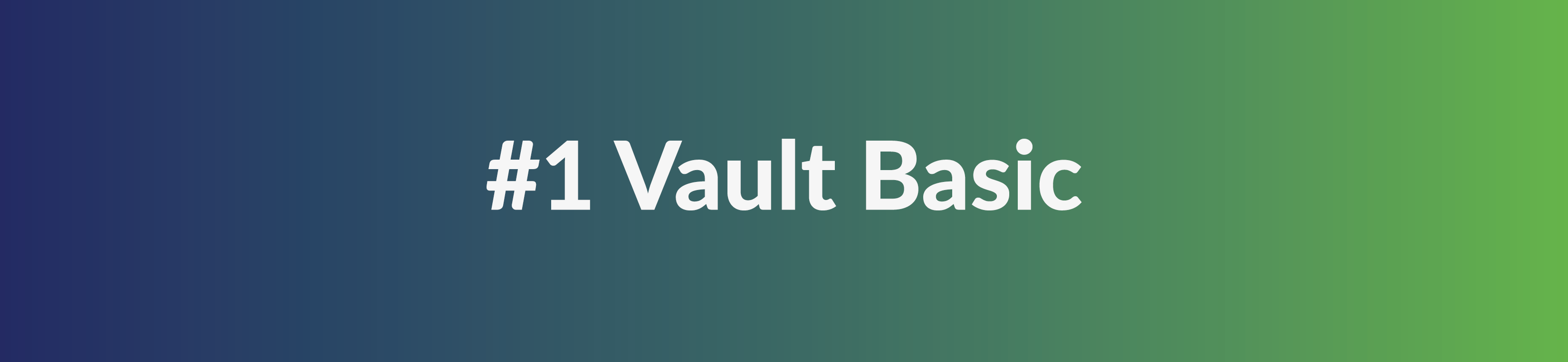 Vault Basic-1